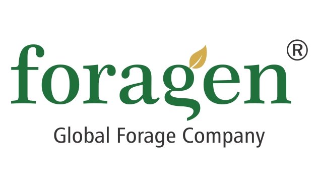 Foragen